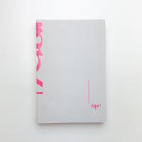 Rapt!: 20 contemporary artists from japan