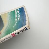 建築文化 1981年4月号