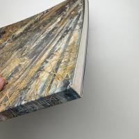 Anselm Kiefer