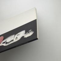 ジュリオ・パオリーニ展