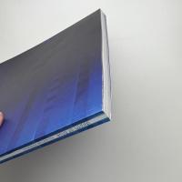 倉重光則 青の欲動