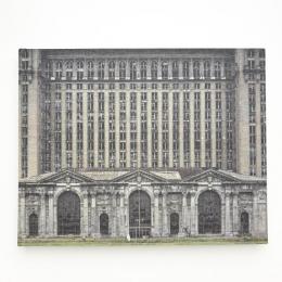 The Ruins of Detroit