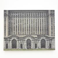 The Ruins of Detroit