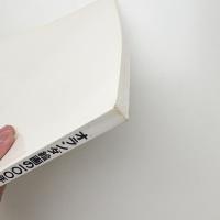 オランダ絵画の100年