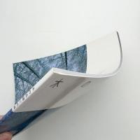 木の系譜三代展