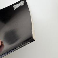 日本近代彫刻の展開