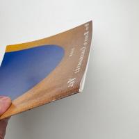 トミエオオタケ展