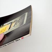 art Das Kunstmagazin JUNI/1982