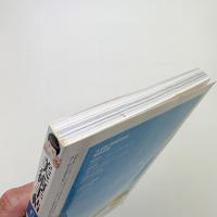 美術手帖　2005年6月号