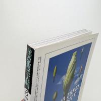 美術手帖　2006年6月号
