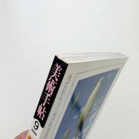 美術手帖　2006年9月号