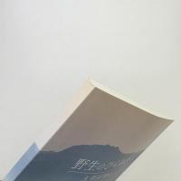 野生のひらめき A Wild Idea