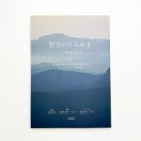 野生のひらめき A Wild Idea