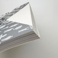 六本木クロッシング: 日本美術の新しい展望 2004