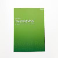 五感の都市へ 仙台芸術遊泳 2007 光と都市