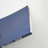 眼の宇宙 かたちをめぐる冒険