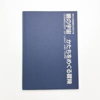 眼の宇宙 かたちをめぐる冒険