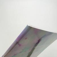 現代絵画の展望 それぞれの地平線