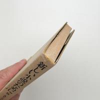 新しい小説のために　付 スナップ・ショット