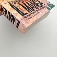 IL MANGA: Storia e universi del fumetto giapponese