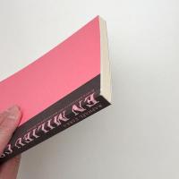 Raphaël Zarka: EN MILIEU CONTINU