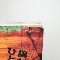別冊太陽 パブリックアートの世界