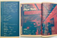 美術手帖　1981年5月号