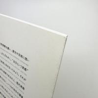 PLATFORM 2010 若林砂絵子 平面の空間