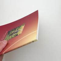 輝く女たち その強さ、儚さ、複雑さ