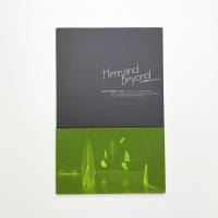 Here and Beyond この現実のむこうに