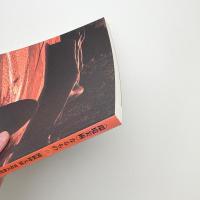 〈環境美術〉なるもの 関根伸夫展