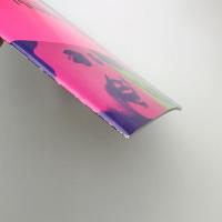 日中映画交流 中国映画祭91