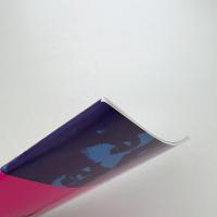 日中映画交流 中国映画祭91