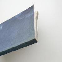 Rosemarie Trockel
