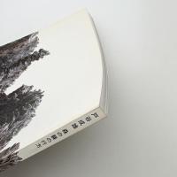 戸谷成雄 森の襞の行方
