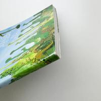 ダブル・リバー島への旅 曽根裕展