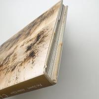 Cai Guo-Qiang