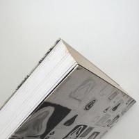 Mike Bidlo: The Fountain Drawings