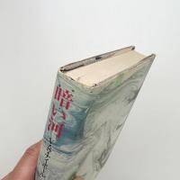 暗い河