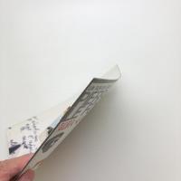 気狂いピエロ パンフレット