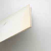 ELLSWORTH KELLY: Recent PAINTING & SCULPTURE