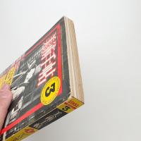 美術手帖　1981年3月号