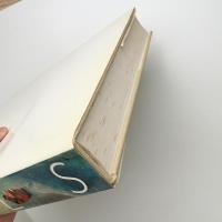 Wols: Bilder, Aquarelle, Zeichnungen, Photographien, Druckgraphik