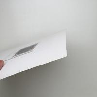 富士と種子はテクストによく似あう
