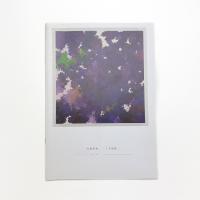 内海聖史 十方視野