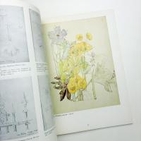 Architectural Sketches and Flower Drawings by CHARLES RENNIE MACKINTOSH