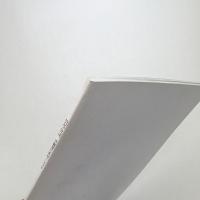 EGO-SITE 沖縄現代美術1998