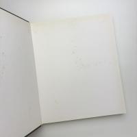 Willem De Kooning: Drawing Seeing/Seeing Drawing