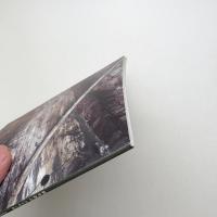 森を遊ぶ 木村崇人展
