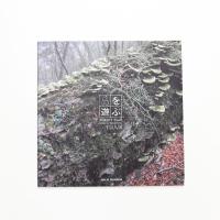 森を遊ぶ 木村崇人展